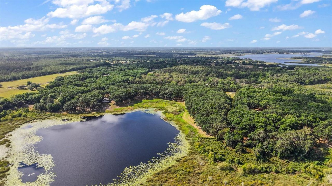 27011 SE Highway 42, Umatilla, FL 32784 Photo