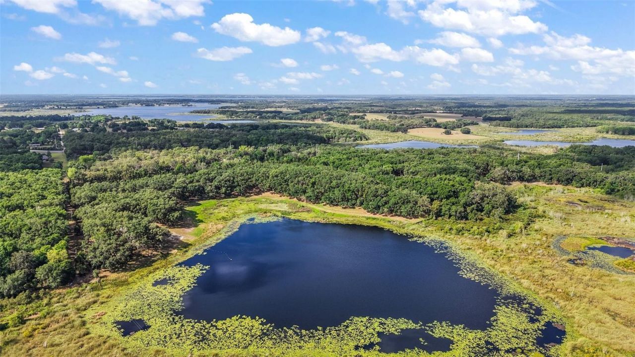 27011 SE Highway 42, Umatilla, FL 32784 Photo