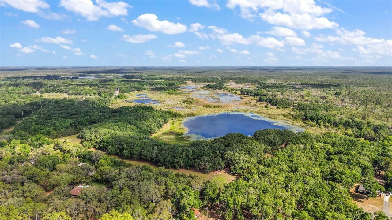 27011 SE Highway 42, Umatilla, FL 32784 Photo