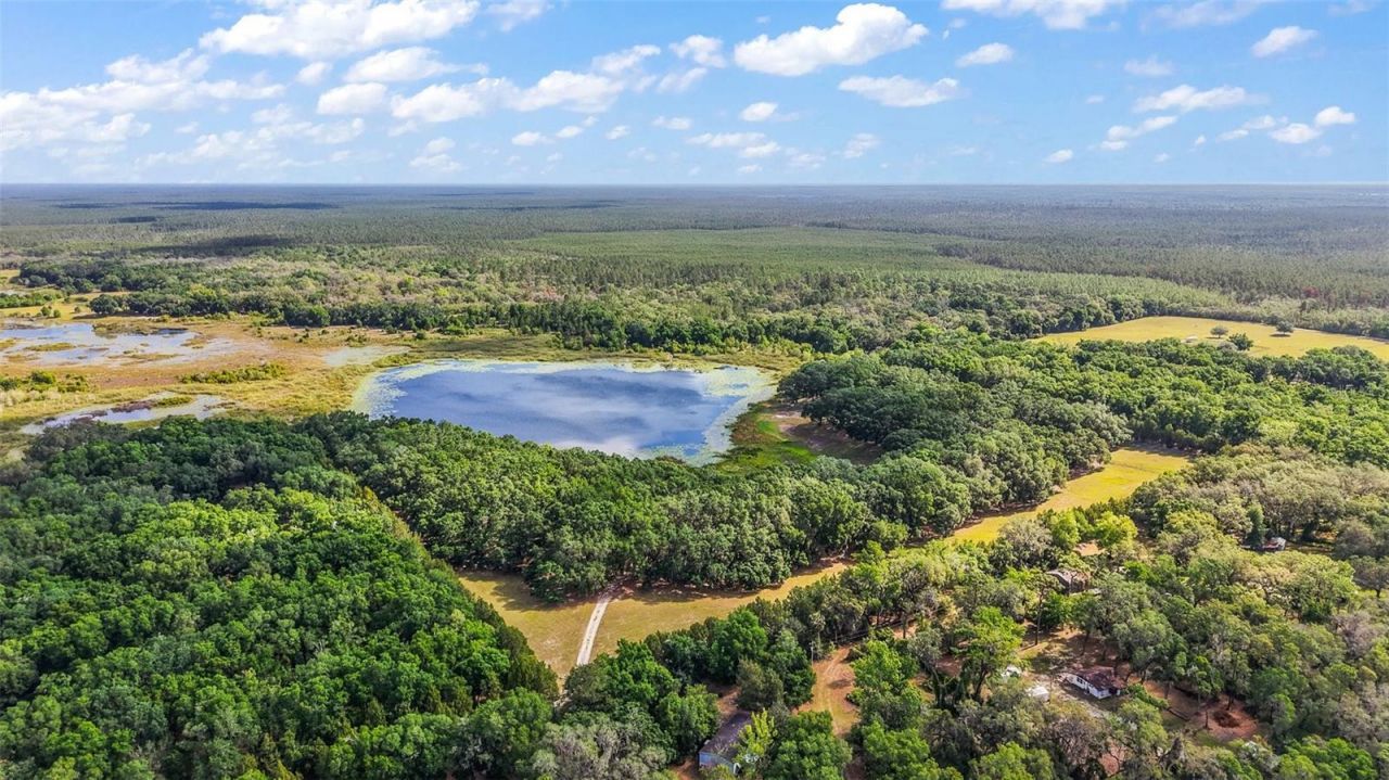 27011 SE Highway 42, Umatilla, FL 32784 Photo