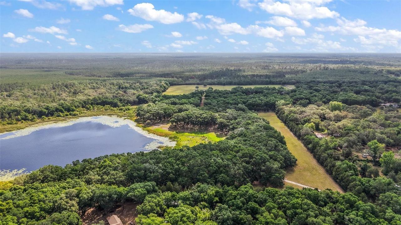 27011 SE Highway 42, Umatilla, FL 32784 Photo