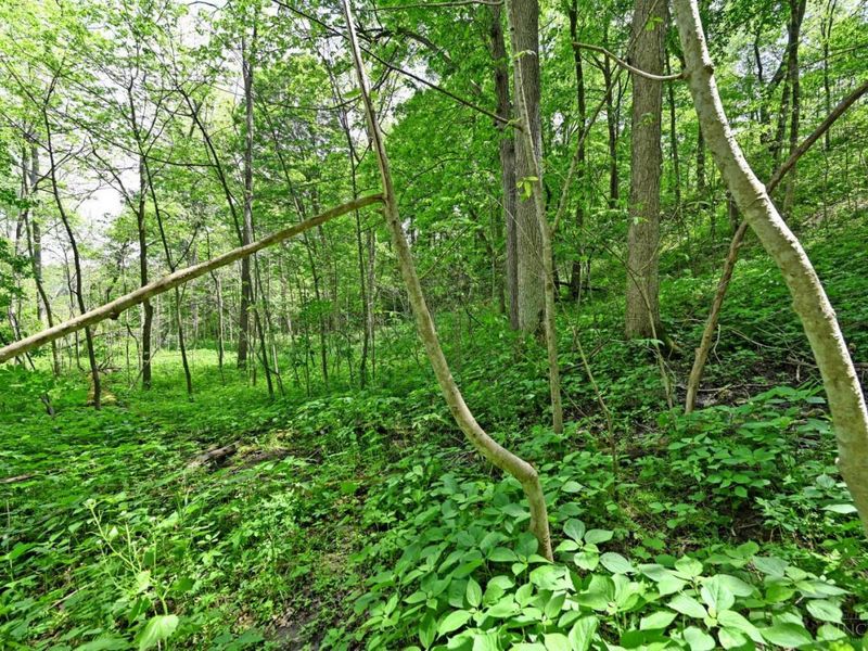 6244 Watt Road, Camden, OH 45311 Photo 10