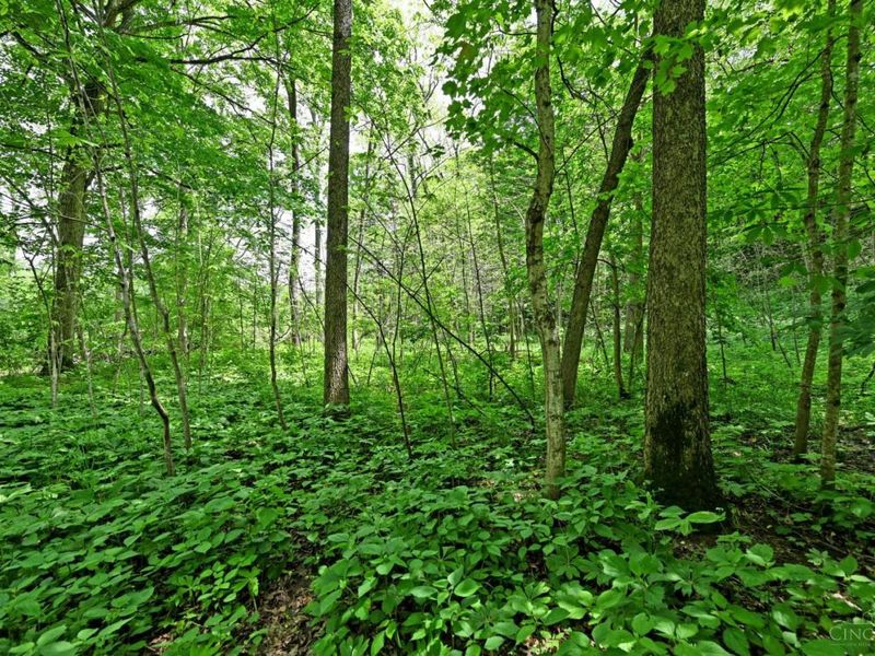 6244 Watt Road, Camden, OH 45311 Photo 12