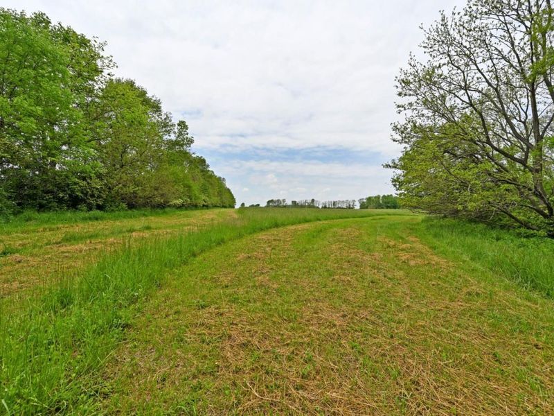 6244 Watt Road, Camden, OH 45311 Photo 21