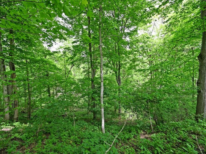 6244 Watt Road, Camden, OH 45311 Photo 32