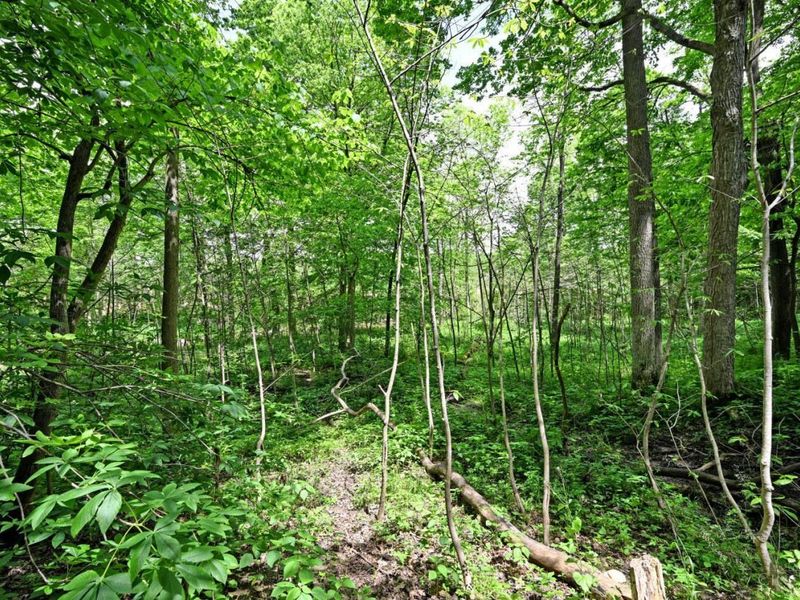 6244 Watt Road, Camden, OH 45311 Photo 34