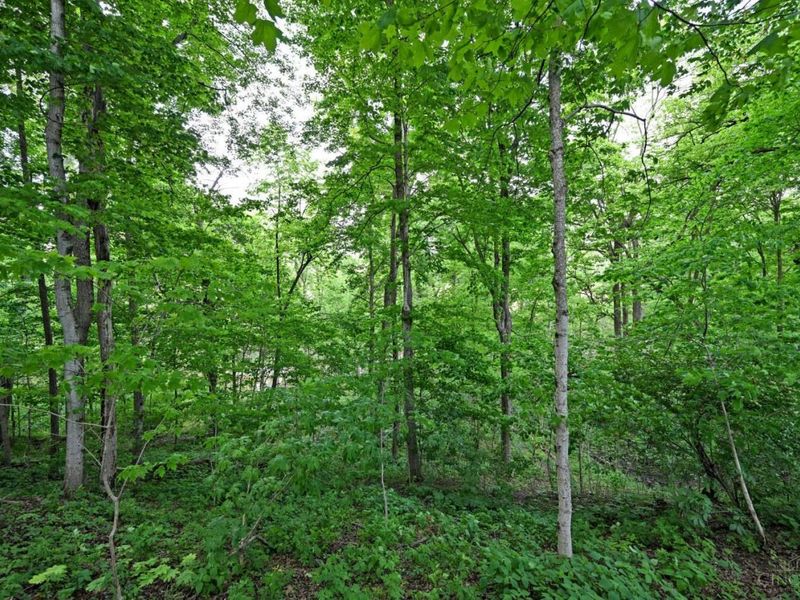 6244 Watt Road, Camden, OH 45311 Photo 35