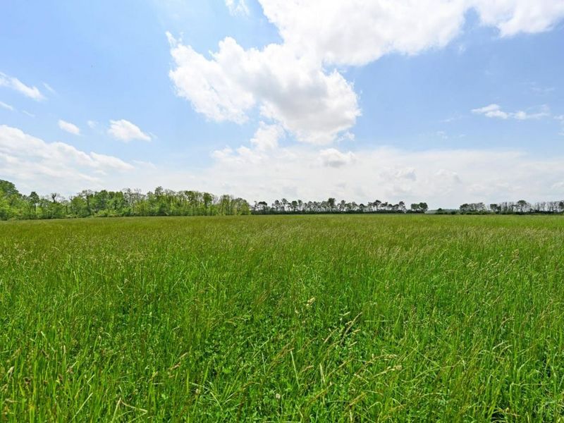 6244 Watt Road, Camden, OH 45311 Photo 38