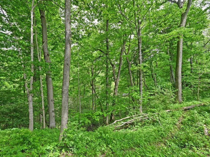 6244 Watt Road, Camden, OH 45311 Photo 4