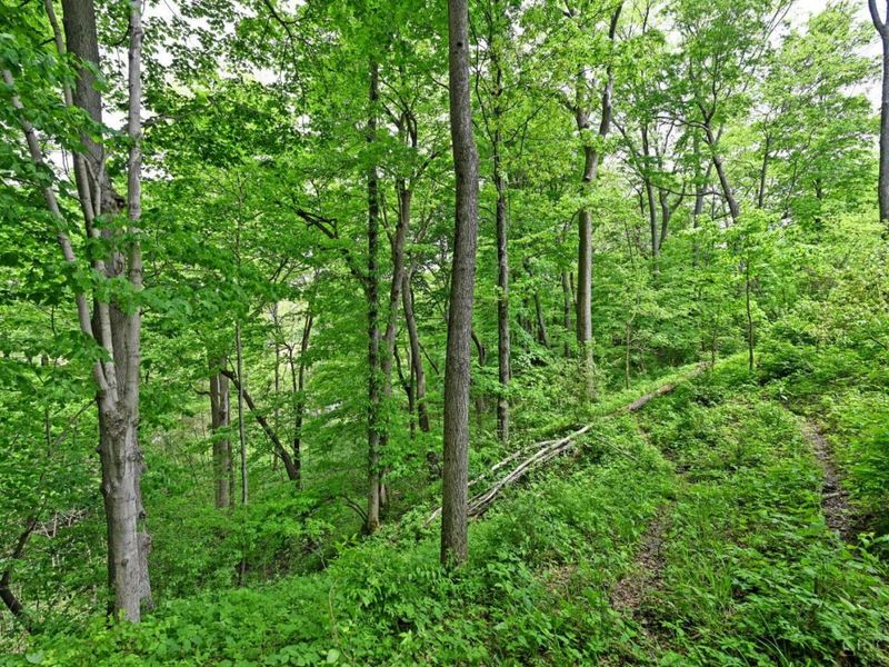 6244 Watt Road, Camden, OH 45311 Photo 8