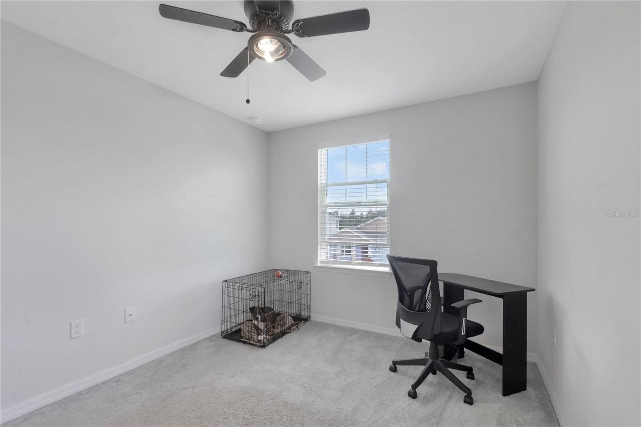 5068 Little Stream Lane, Wesley Chapel, FL 33545 Photo