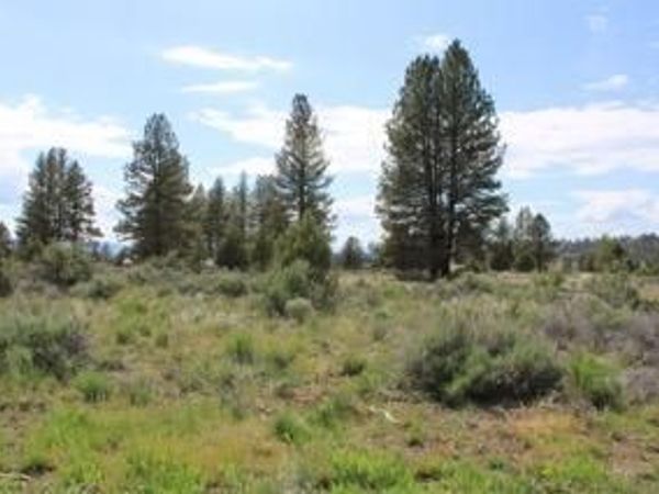 Deer Springs Road, Beatty, OR 97621