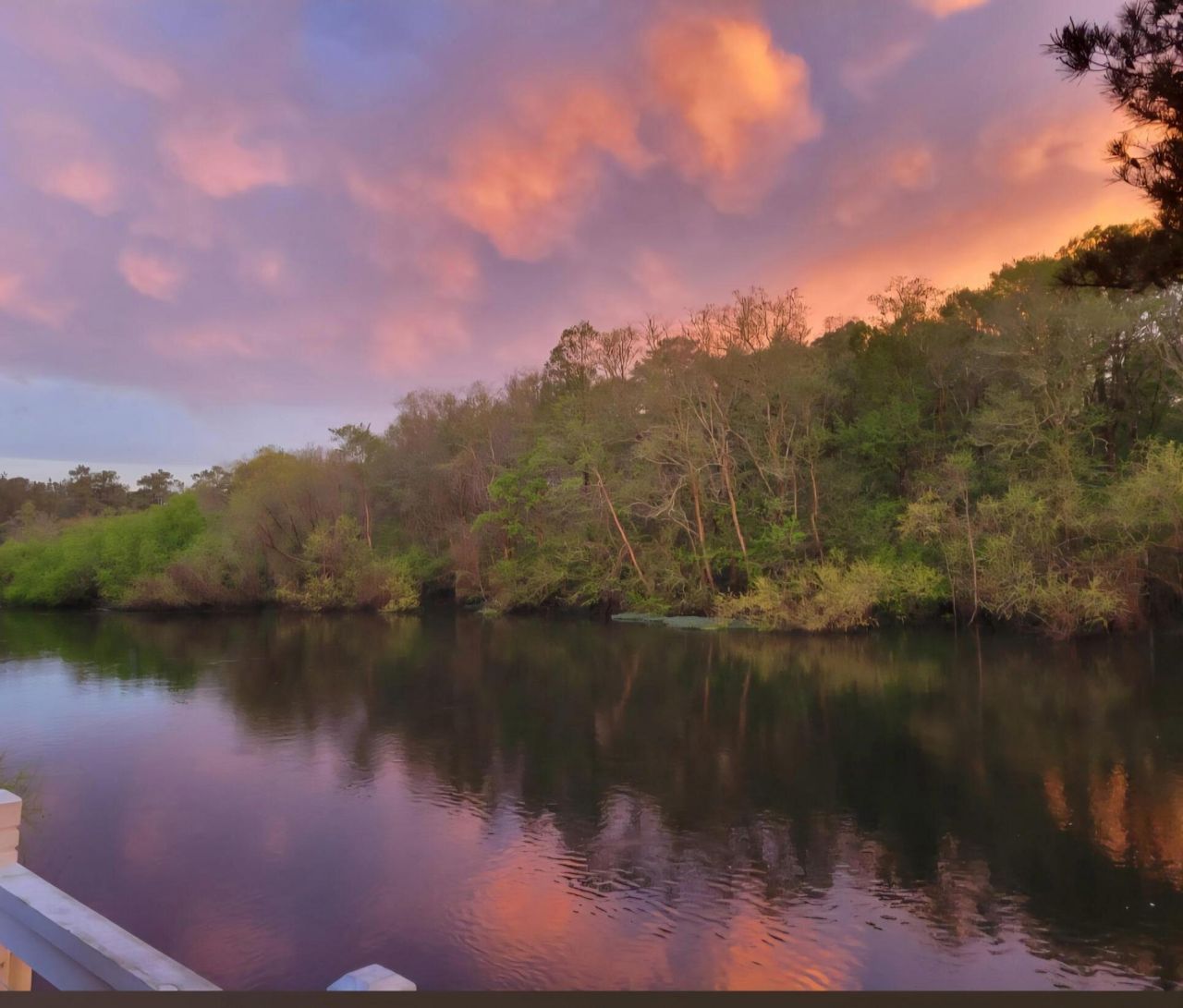 8487 Parkers Ferry Road Photo 4