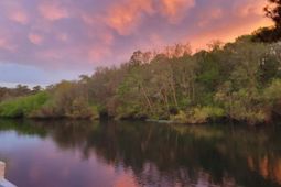 8487 Parkers Ferry Road photo 4