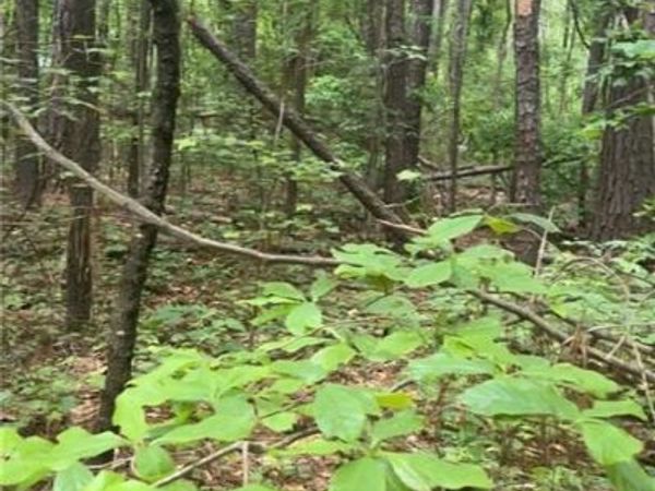 0 Ga-142 , Newborn, GA 30056