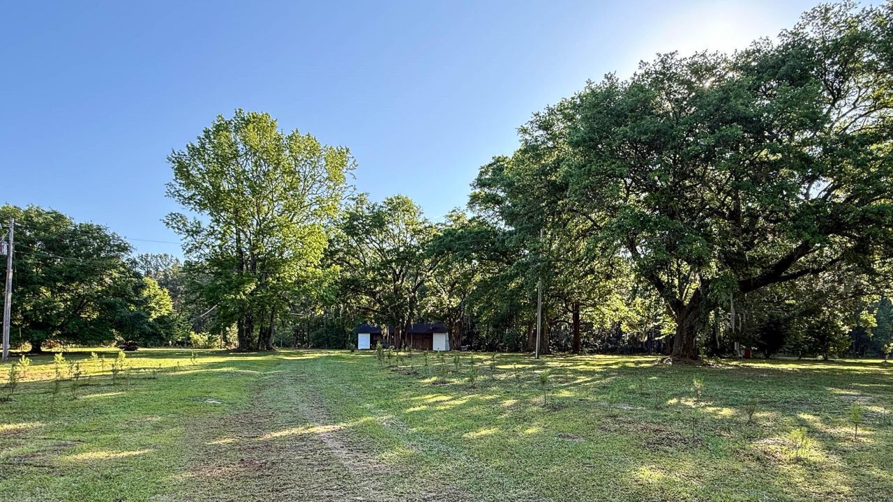 0 Norris Drive Photo 11