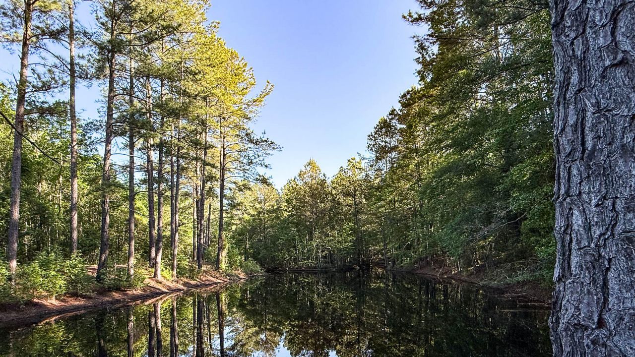 0 Norris Drive Photo 13