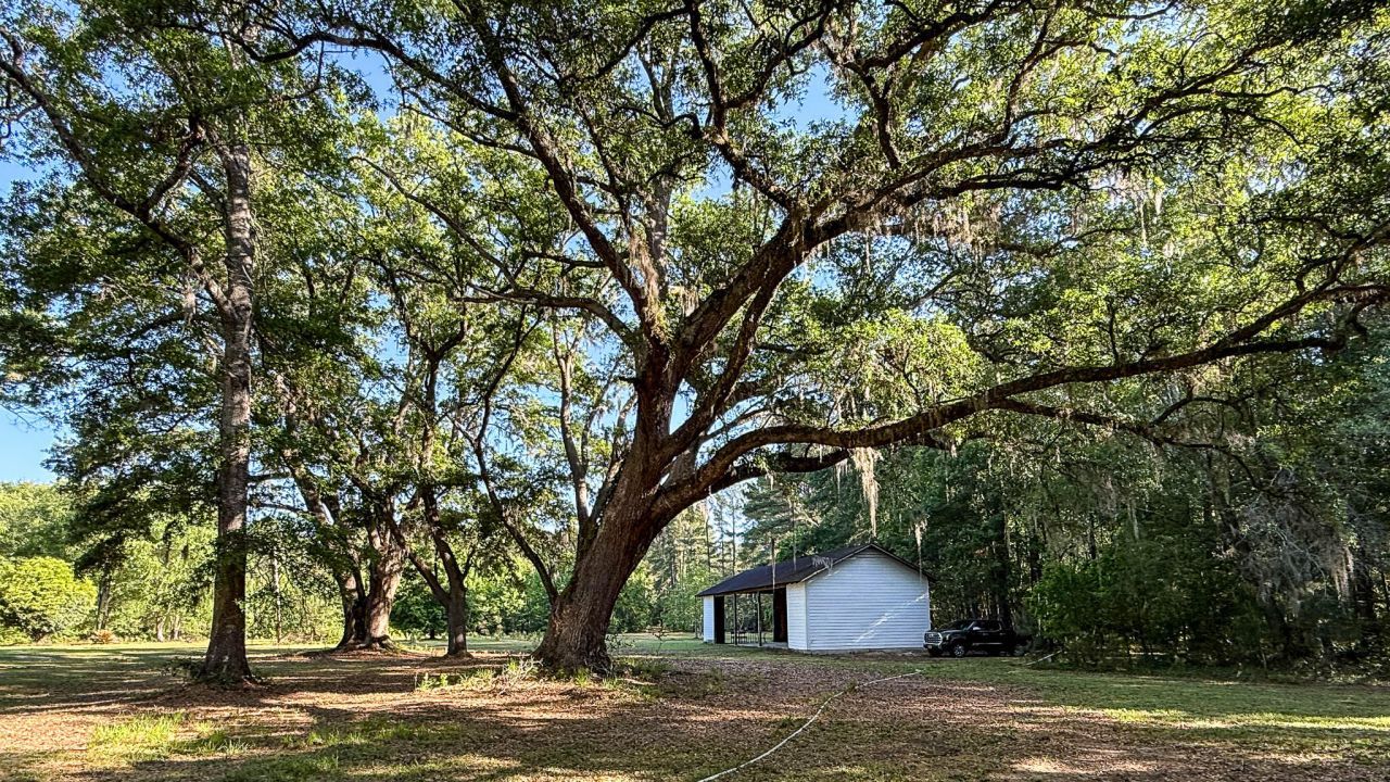 0 Norris Drive Photo 14