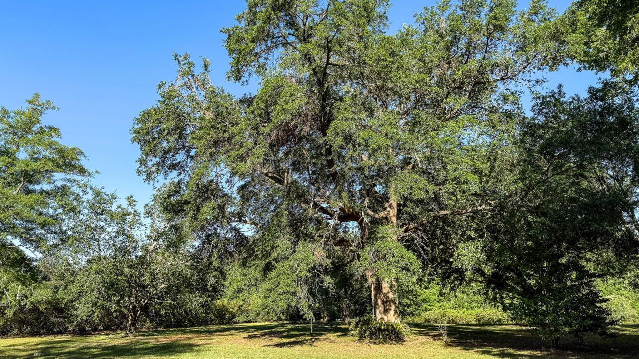 0 Norris Drive Photo 15