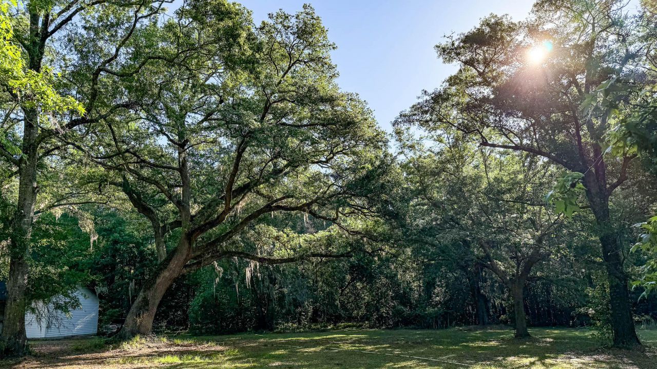 0 Norris Drive Photo 18