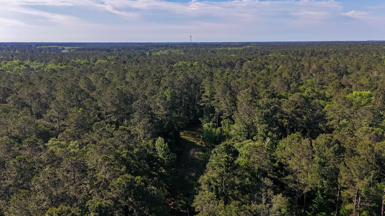 0 Norris Drive Photo 24