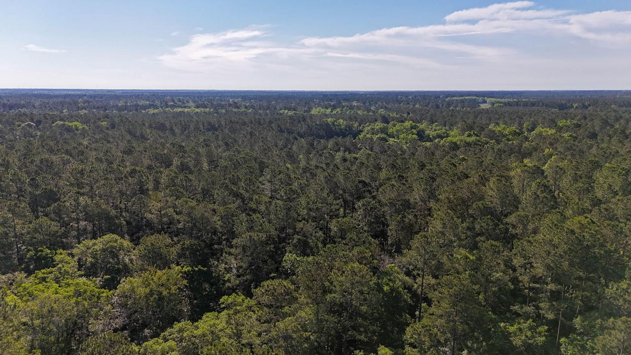 0 Norris Drive Photo 25