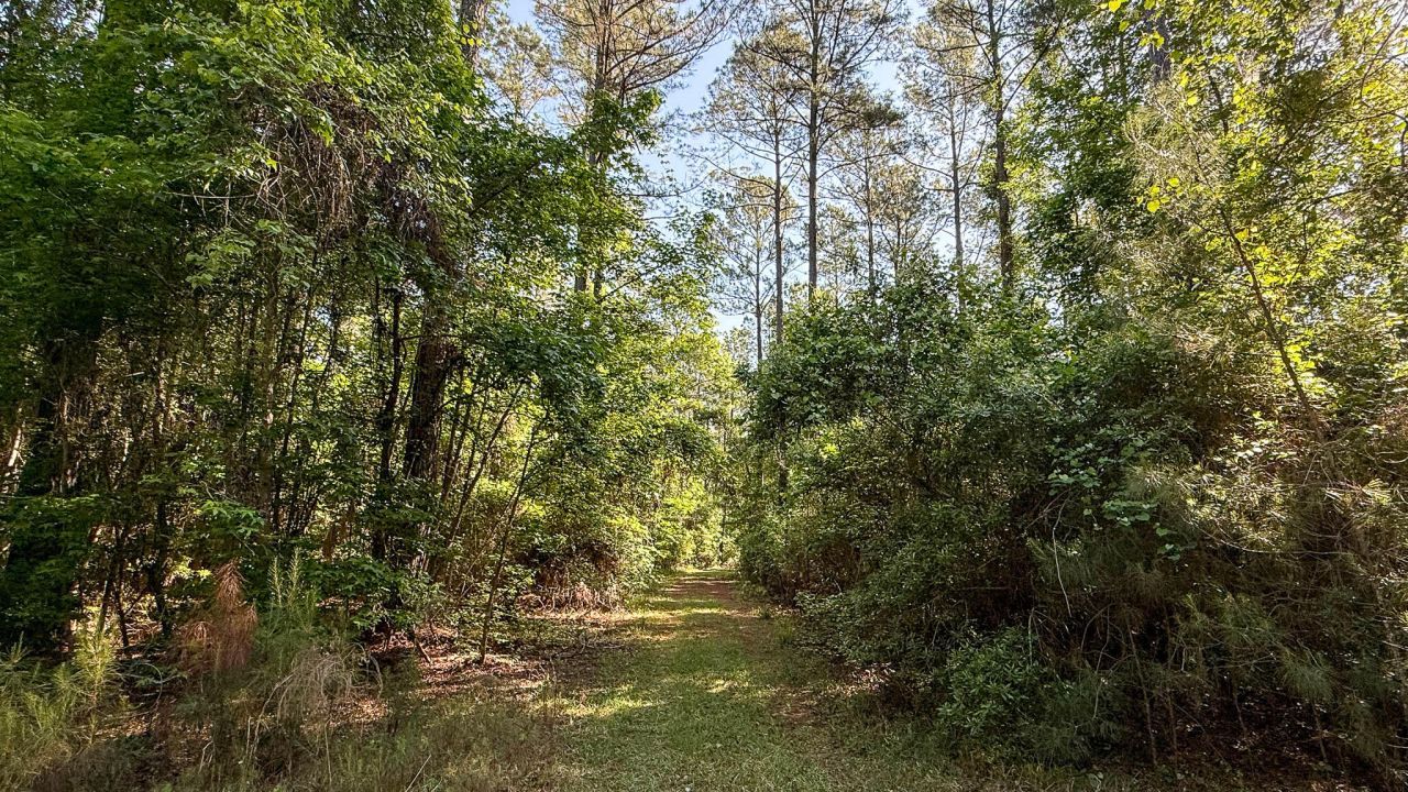 0 Norris Drive Photo 26