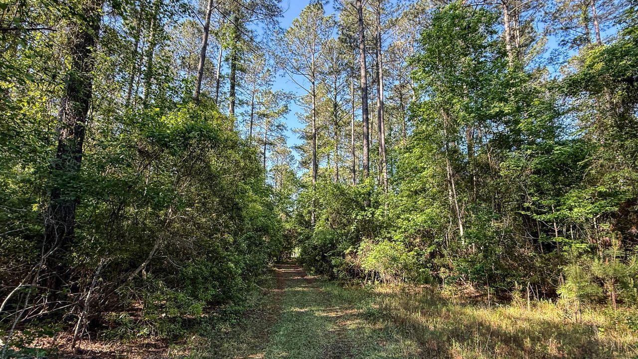 0 Norris Drive Photo 28