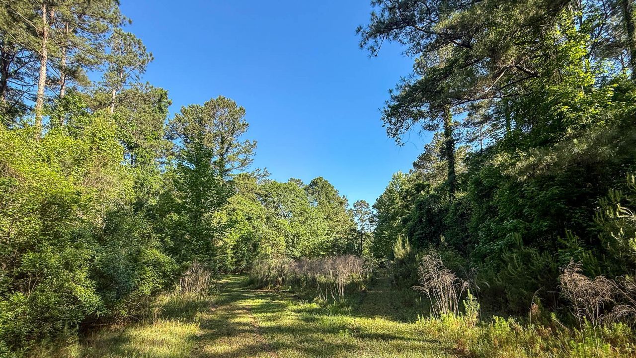 0 Norris Drive Photo 29