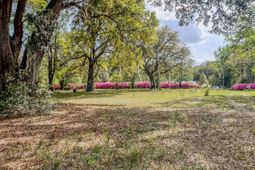 0 Norris Drive photo 4