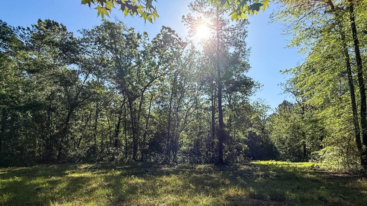 0 Norris Drive Photo 30