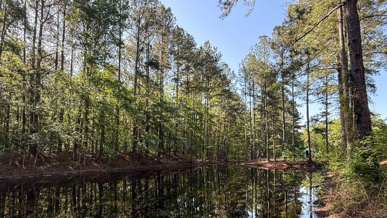 0 Norris Drive Photo 32