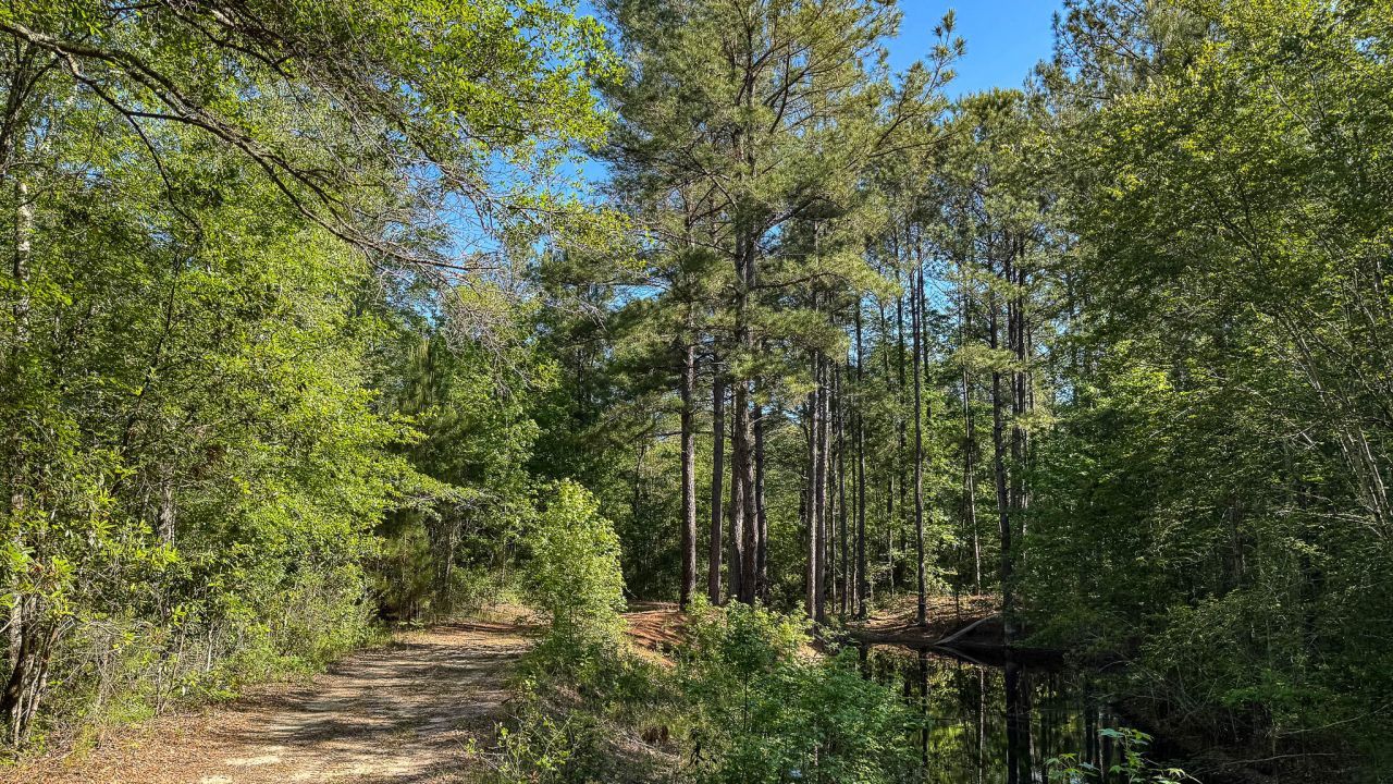 0 Norris Drive Photo 33