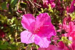 0 Norris Drive photo 4