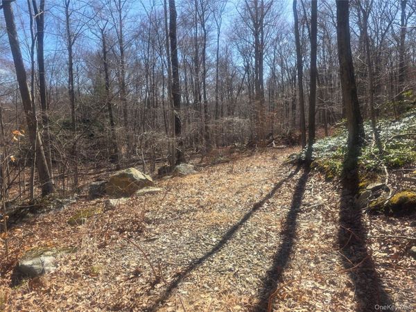 South Road, Holmes, NY 12531