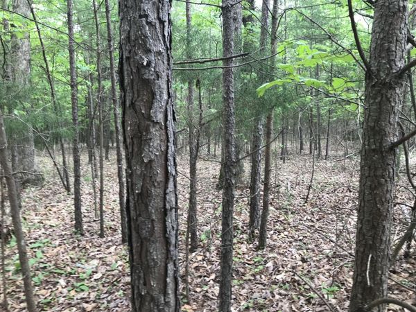 0 Bluffview Drive, Unit 26, Dunlap, TN 37327