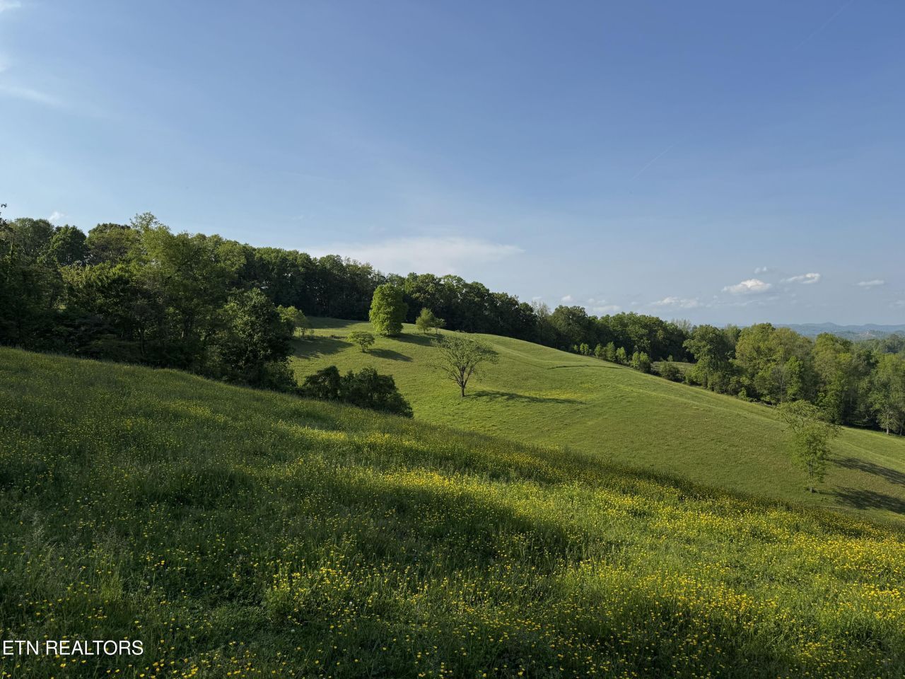 Baltimore Rd, Washburn, TN 37888 Main Photo