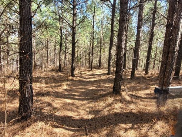 1 Saddleback Dr, Dover, TN 37058