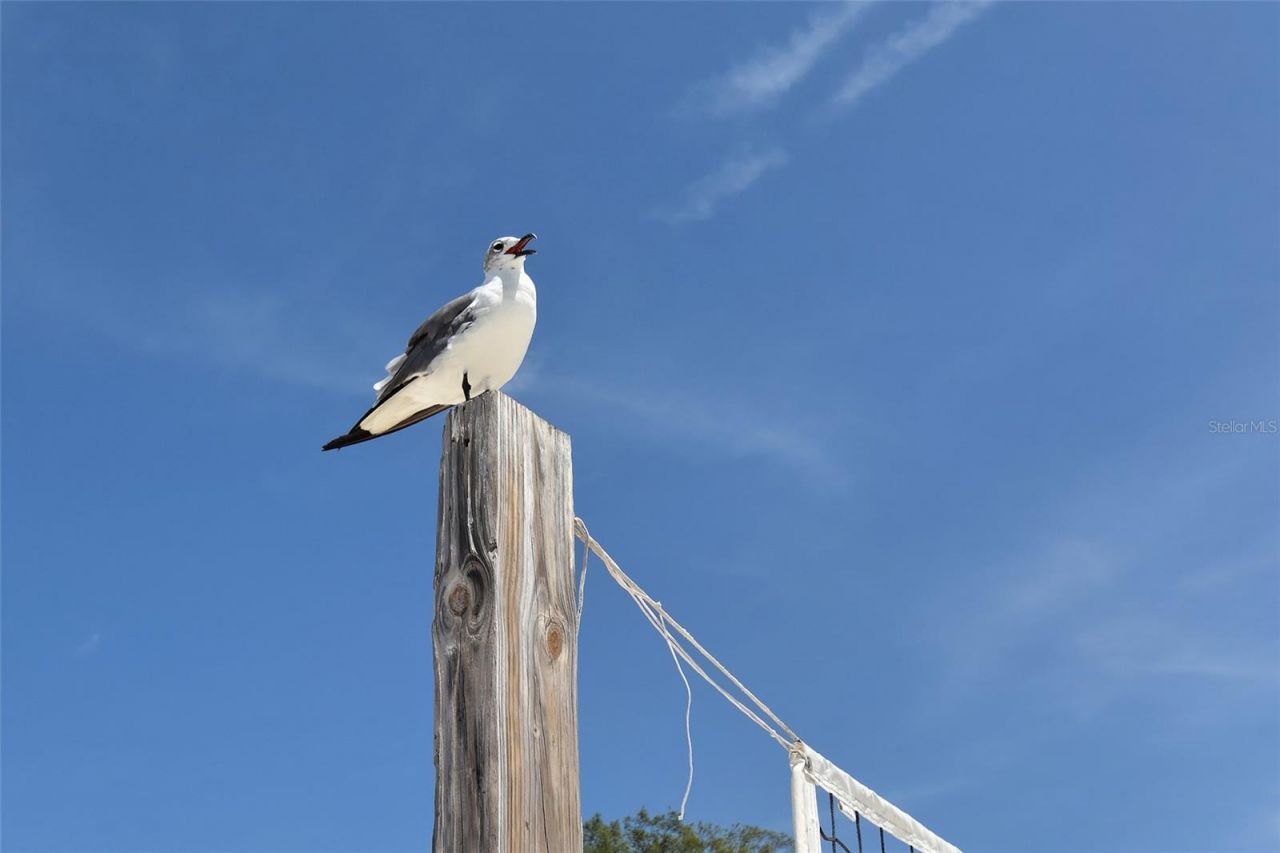 111 Tidy Island Boulevard, Bradenton, FL 34210 Photo