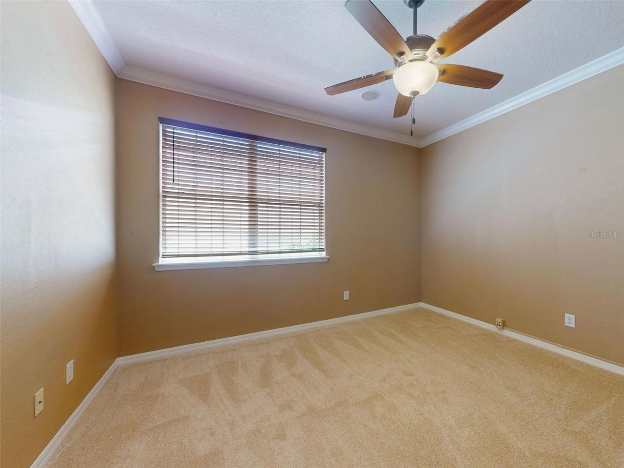 3455 Pegaso Avenue, New Smyrna Beach, FL 32168 Photo