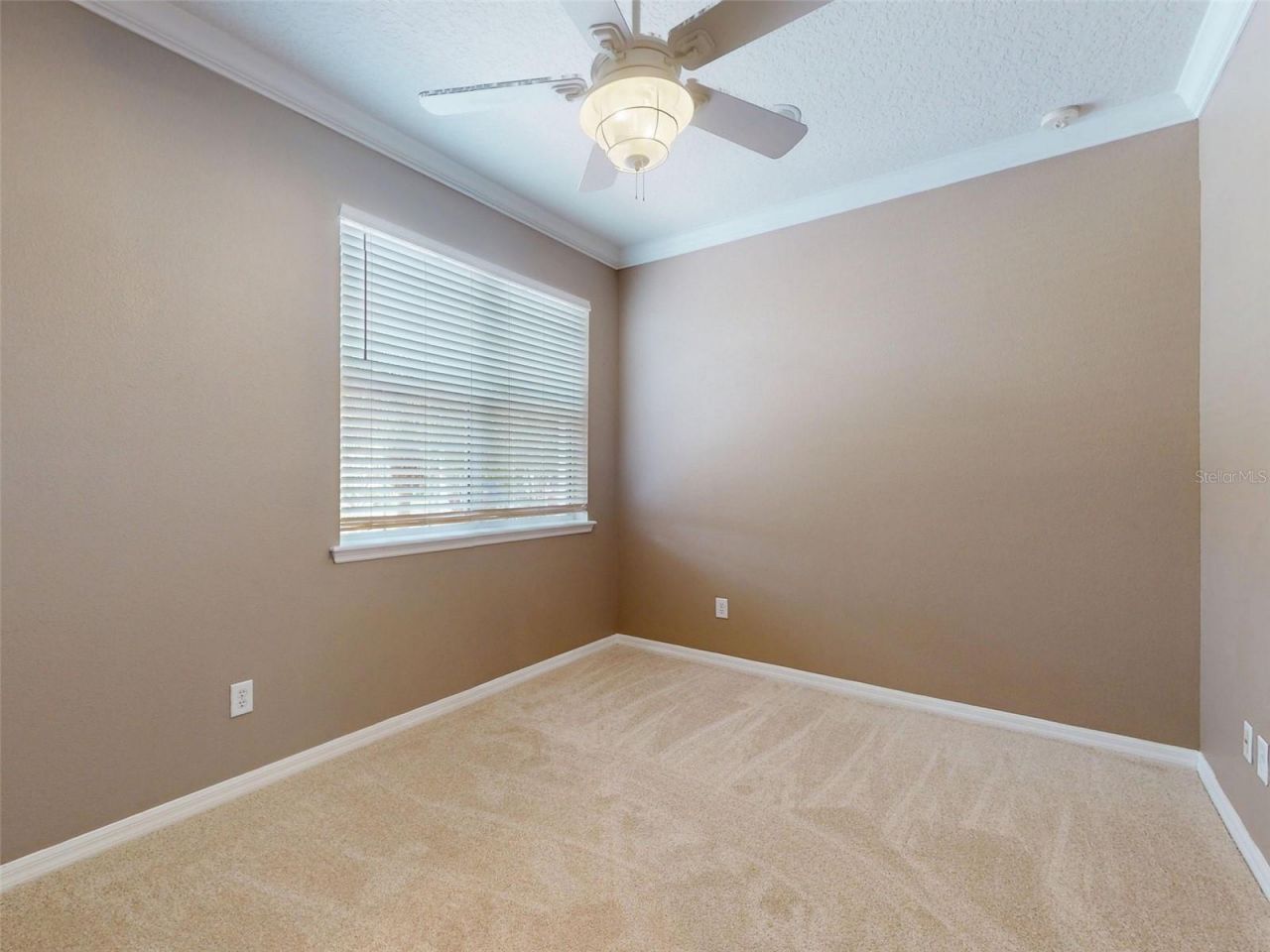 3455 Pegaso Avenue, New Smyrna Beach, FL 32168 Photo