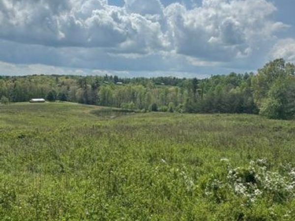 0 Sam Smith Rd, Allardt, TN 38504