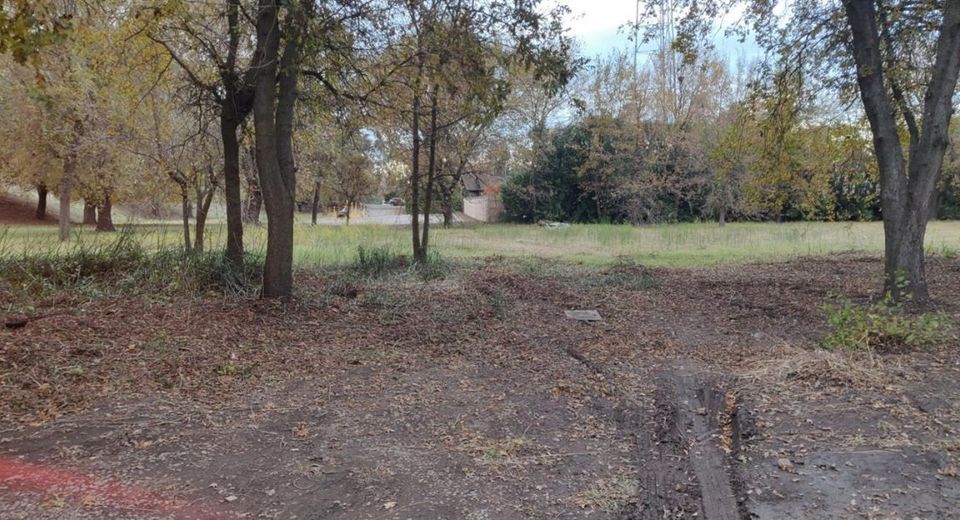 Magnolia Ave, Courtland, CA 95615 Photo