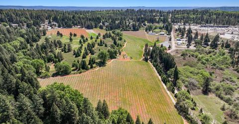 2875 Larsen Drive, Camino, CA 95709 Photo