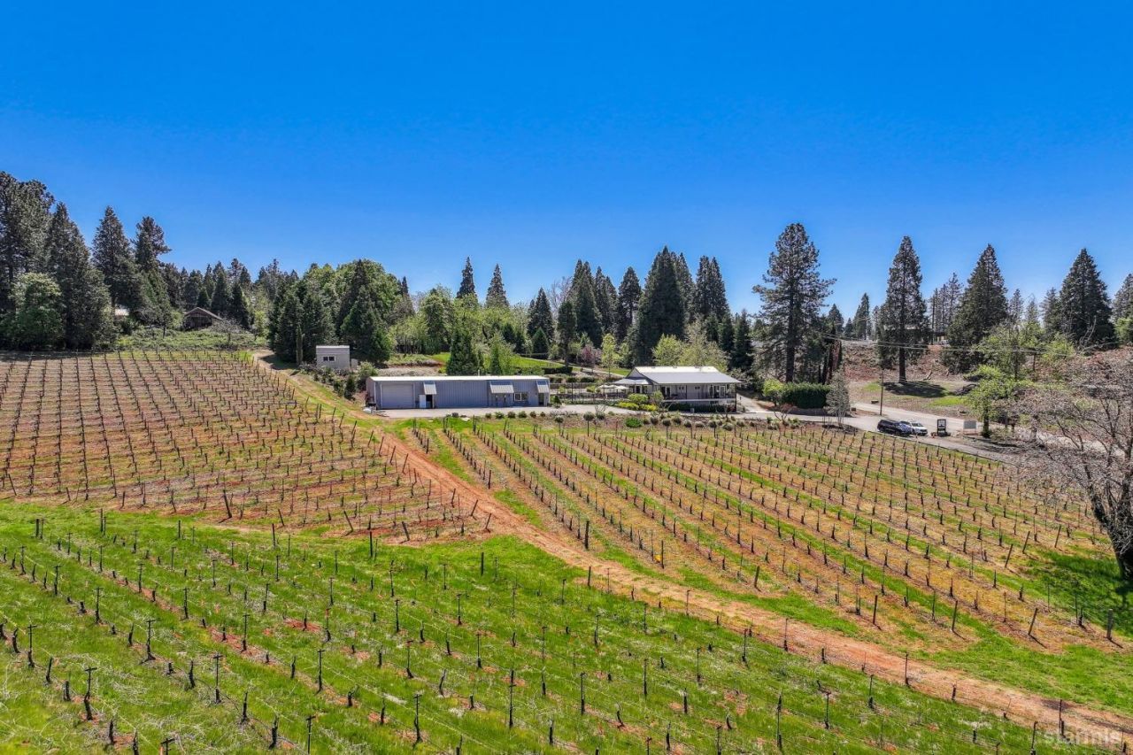 2875 Larsen Drive, Camino, CA 95709 Photo