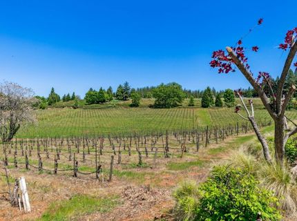 2875 Larsen Drive, Camino, CA 95709 Photo