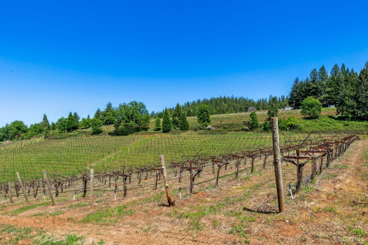 2875 Larsen Drive, Camino, CA 95709 Photo