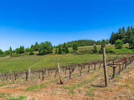 2875 Larsen Drive, Camino, CA 95709 Photo