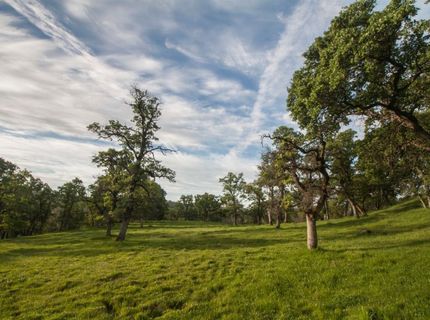 4 Ranch Dutch Flat Trl, Smartville, CA 95977 Photo