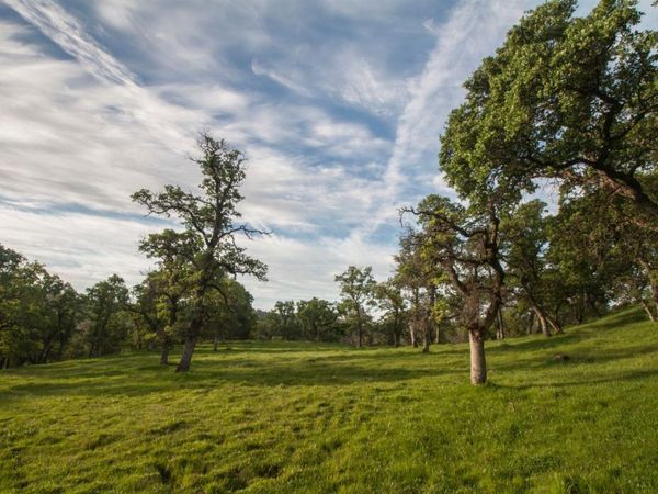 4 Ranch Dutch Flat Trl, Smartsville, CA 95977